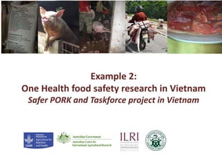 Example 2:
One Health food safety research in Vietnam
Safer PORK and Taskforce project in Vietnam
 