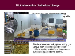 Pilot intervention / behaviour change
The pilot trial also demonstrated that
technical solutions must go along with
behaviour change of butchers.
The improvement in hygiene (using grid
versus floor) was indicated by lower
coliform load (p = 0.002) on the carcass
surface compared to the control.
Private sector (canteens) attracted by food safety practice change
 