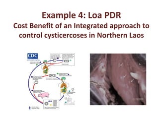Example 4: Loa PDR
Cost Benefit of an Integrated approach to
control cysticercoses in Northern Laos
 
