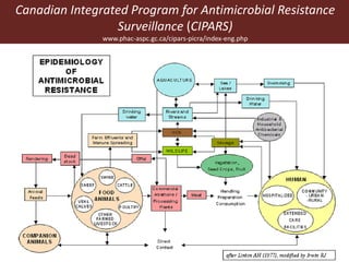 Canadian Integrated Program for Antimicrobial Resistance
Surveillance (CIPARS)
www.phac-aspc.gc.ca/cipars-picra/index-eng.php
 