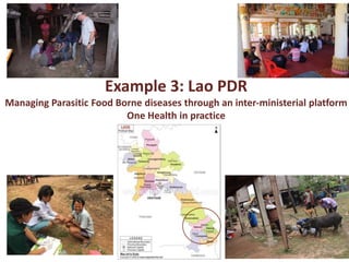 Ecohealth and One Health: Concept, applications and impact