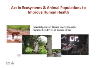 One Health, many healths