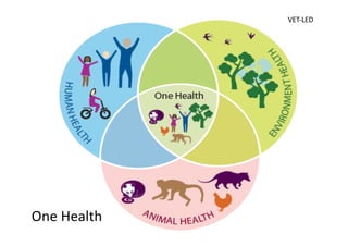 One Health, many healths