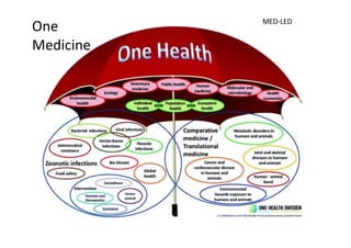 One Health, many healths