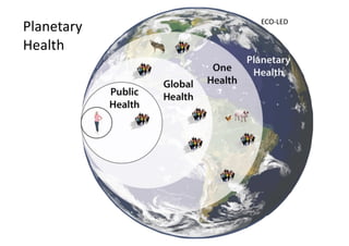 One Health, many healths