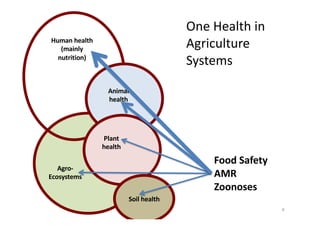 One Health, many healths