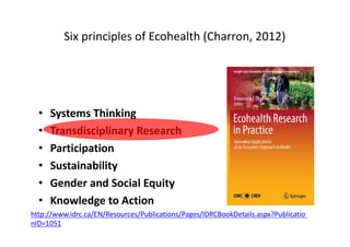 One Health, many healths