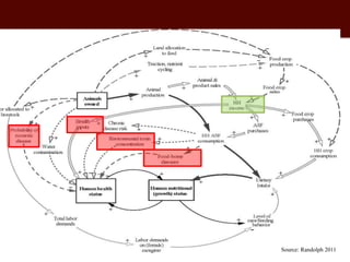 Economics of One Health