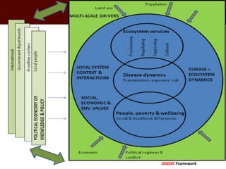 Economics of One Health