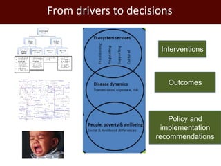 Economics of One Health