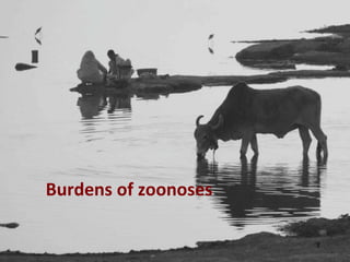 Economics of One Health