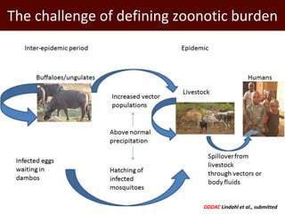 Economics of One Health