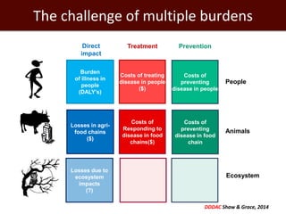 Economics of One Health