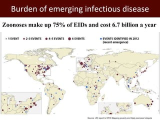 Economics of One Health