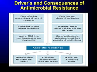 DDrriivveerr’’ss aanndd CCoonnsseeqquueenncceess ooff 
AAnnttiimmiiccrroobbiiaall RReessiissttaannccee 
 