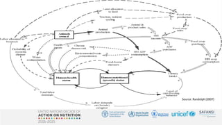 Nexus between One Health, nutrition and food safety