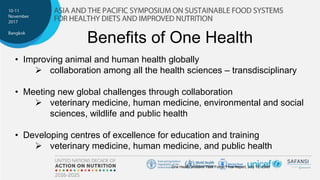 Nexus between One Health, nutrition and food safety