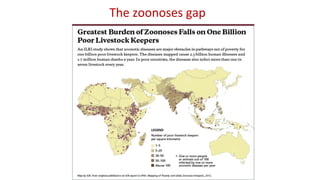 International perspectives on One Health