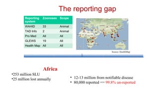 International perspectives on One Health