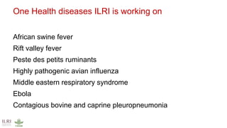 International perspectives on One Health