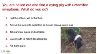 International perspectives on One Health