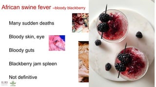 International perspectives on One Health