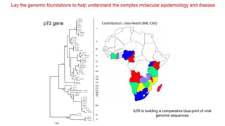 International perspectives on One Health