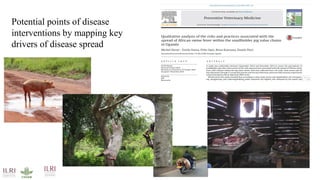 International perspectives on One Health