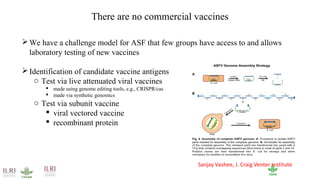 International perspectives on One Health