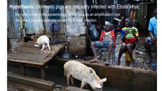 International perspectives on One Health