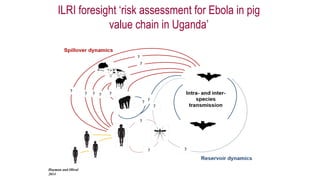 International perspectives on One Health