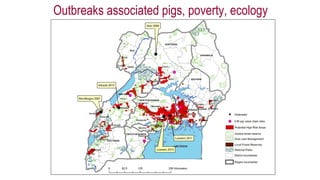 International perspectives on One Health