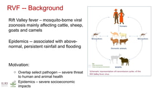 International perspectives on One Health