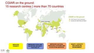 International perspectives on One Health