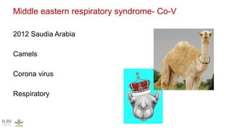 International perspectives on One Health