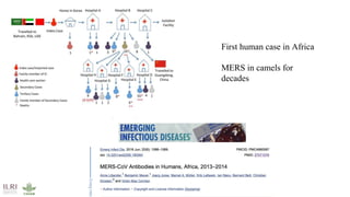 International perspectives on One Health