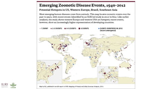International perspectives on One Health
