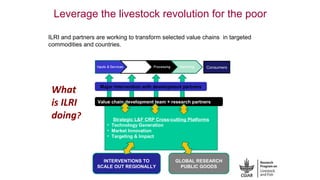 International perspectives on One Health