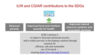 International perspectives on One Health