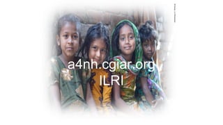 International perspectives on One Health