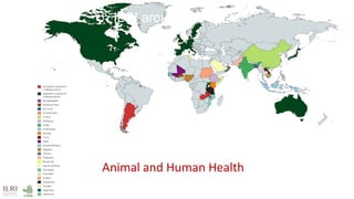International perspectives on One Health