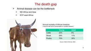 International perspectives on One Health