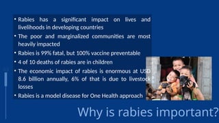 One Health Rabies Control in Indonesia_APCAT meeting May 2022.pptx