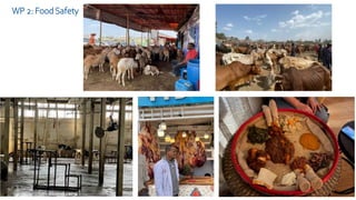 CGIAR research initiatives: One Health and Resilient Cities