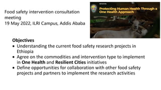 CGIAR research initiatives: One Health and Resilient Cities