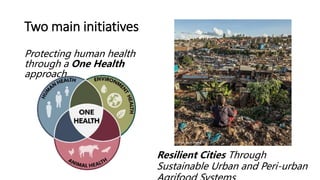 CGIAR research initiatives: One Health and Resilient Cities
