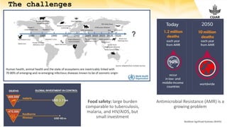 CGIAR research initiatives: One Health and Resilient Cities