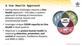 CGIAR research initiatives: One Health and Resilient Cities