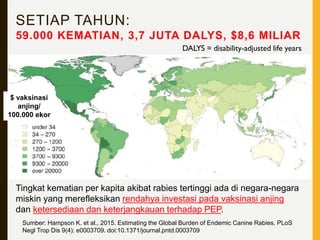 Tingkat Rabies One Health Roadmap Eliminasi Rabies 2030 - Kemenko PMK-Pandemic ...