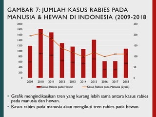 One Health Roadmap Eliminasi Rabies Nasional 2030 - PPR USAID, Jakarta ...